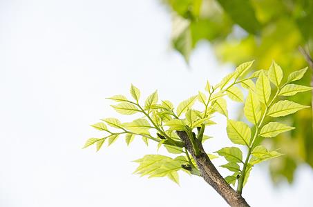 【聚英考研英语】湳神带你背单词 Day 117【Stock】